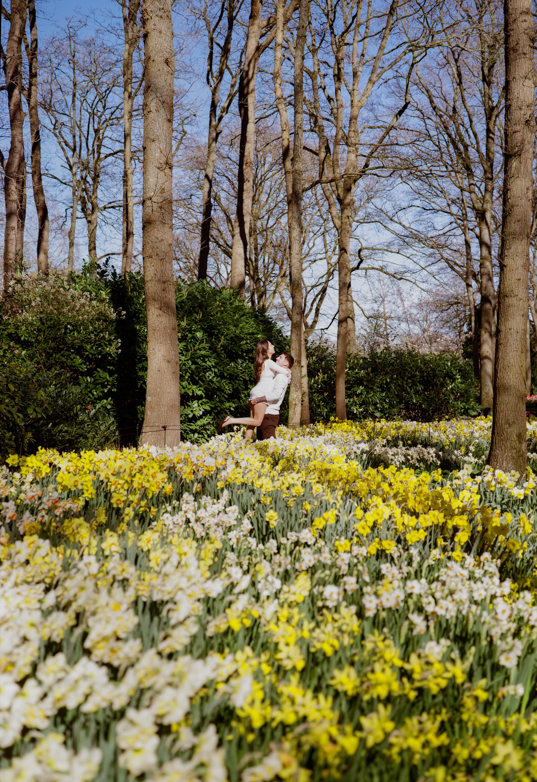 Hoge kale bomen boven een bosbodem vol narcissen, terwijl een man in de verte zijn verloofde van de grond tilt