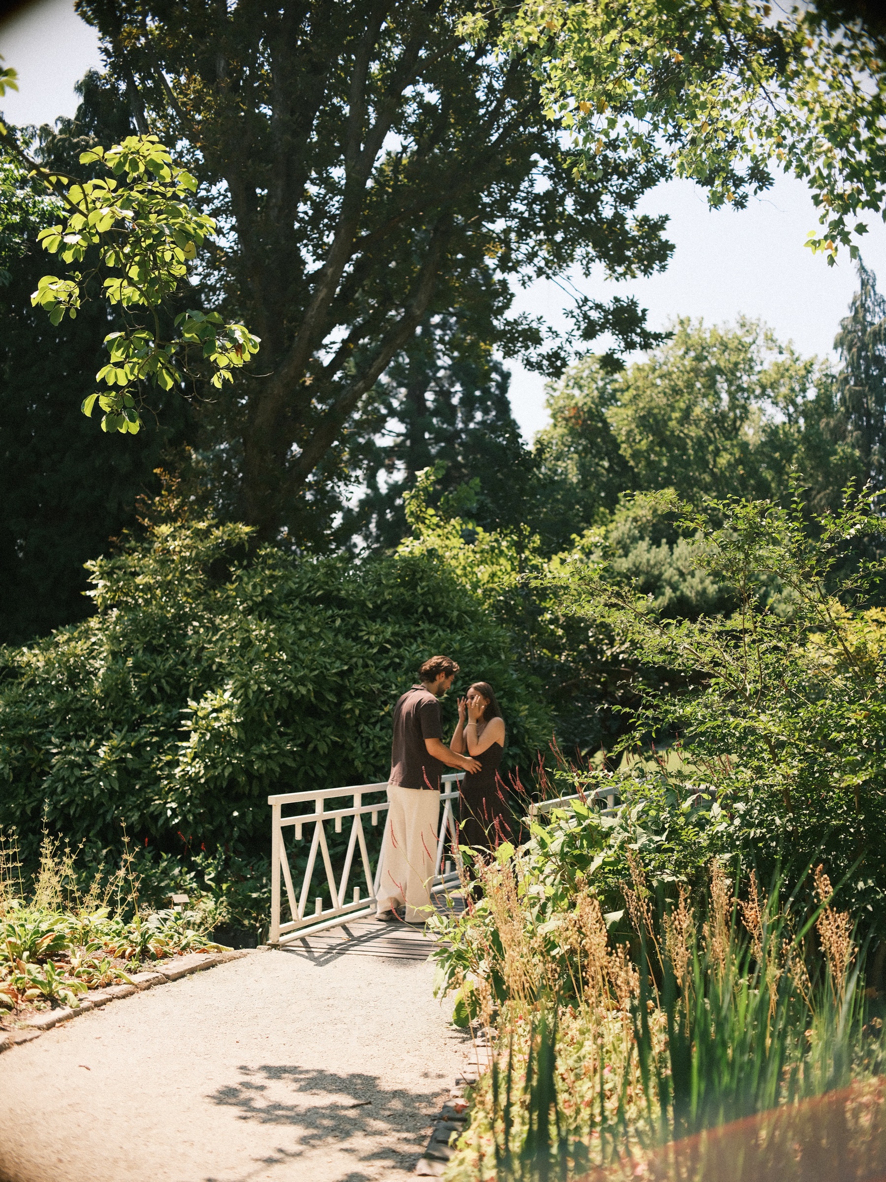 Seen from far away, the couple embraces on the small white bridge beneath tall old trees, red flower spikes in the foreground