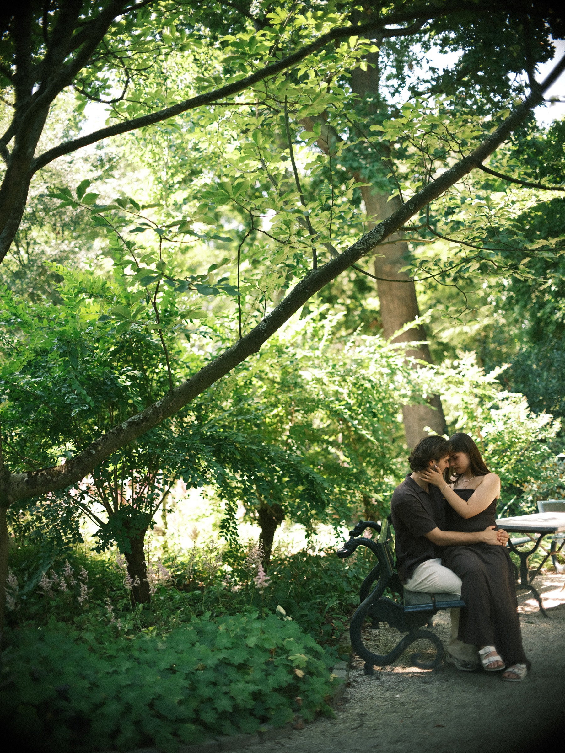 Wide view of the couple close together on a green bench under a leaning tree, the last frame of their proposal at Trompenburg