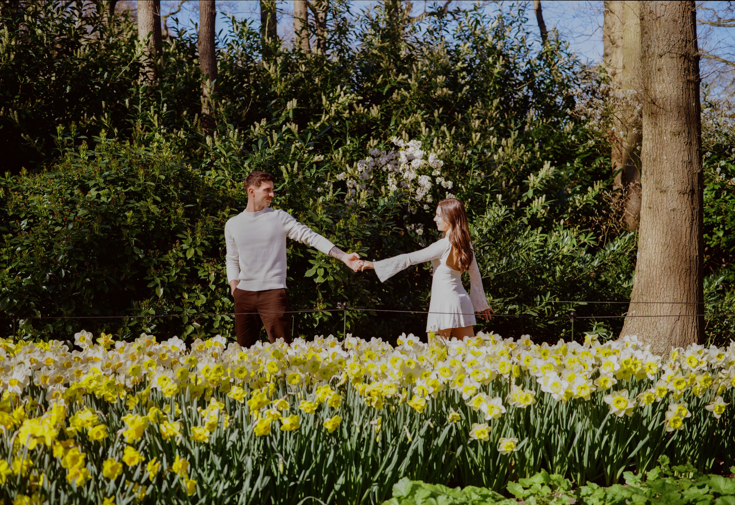 Stel houdt elkaar op armlengte vast op een zonnige open plek in Keukenhof, met een brede strook gele en witte narcissen ervoor