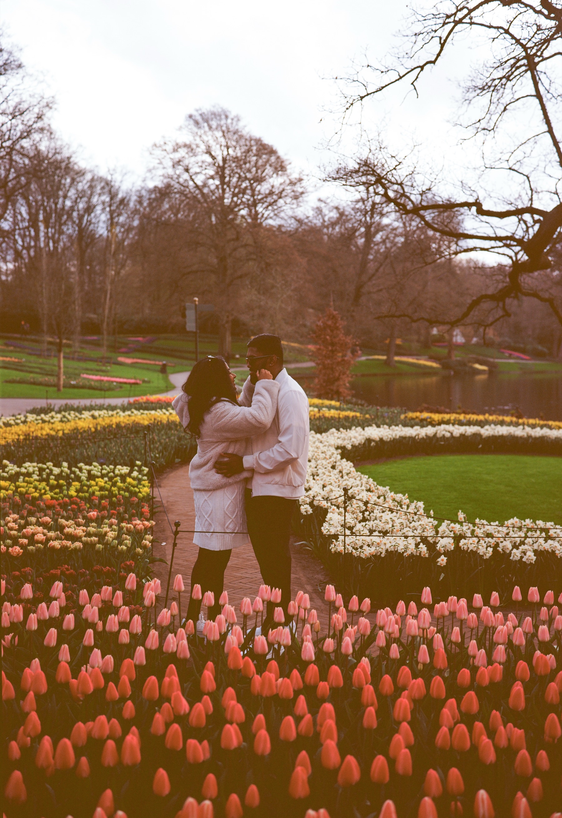 Couple holding each other on a curving garden path between coral tulips and beds of white and yellow spring flowers