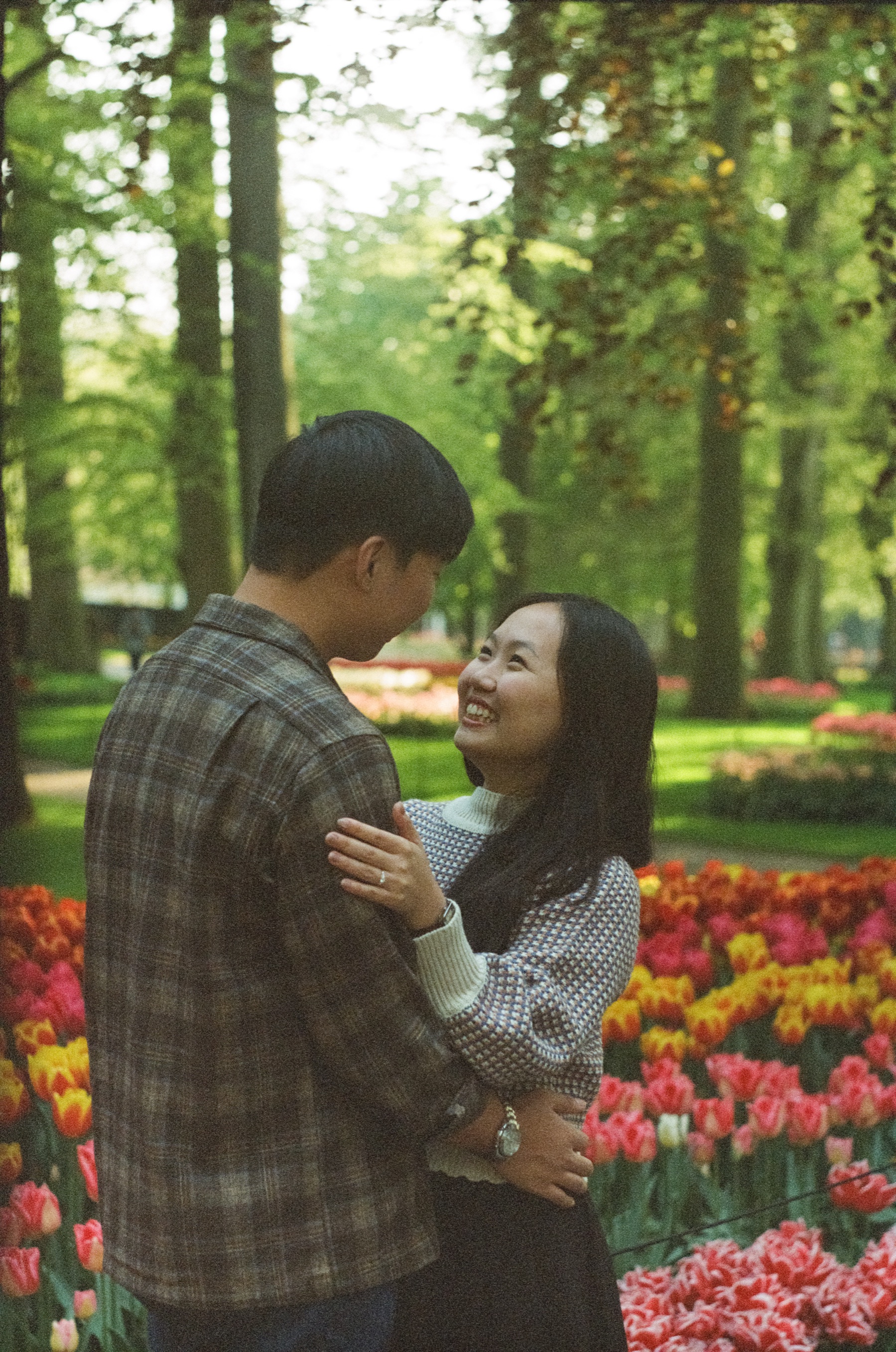 Couple hugging and smiling at each other among red, yellow and pink tulips under tall trees at Keukenhof, her hand with the ring on his arm, on Portra 800