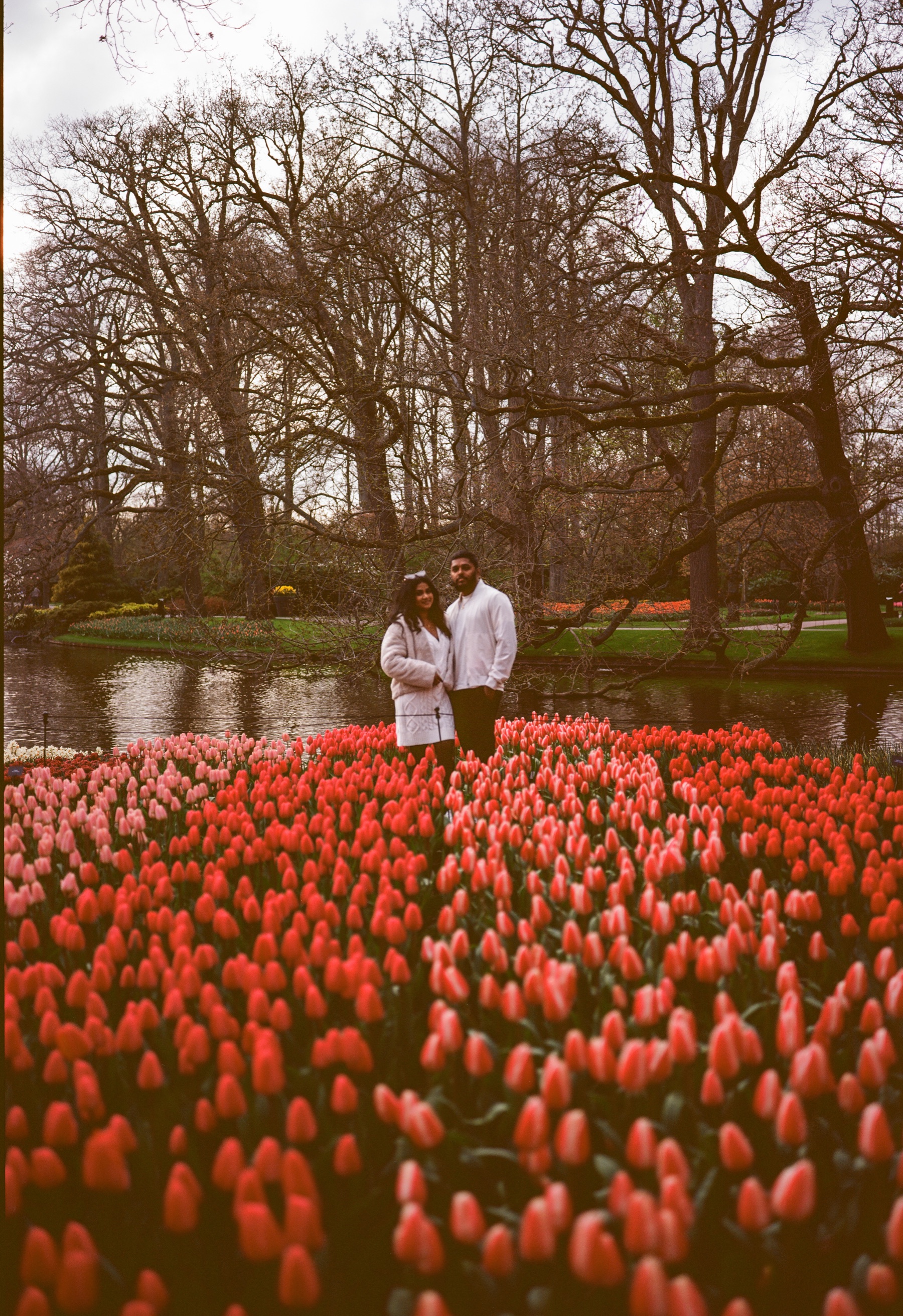 Couple in white standing by the pond behind a wide bed of coral-red tulips, tall bare trees and a gray April sky above them
