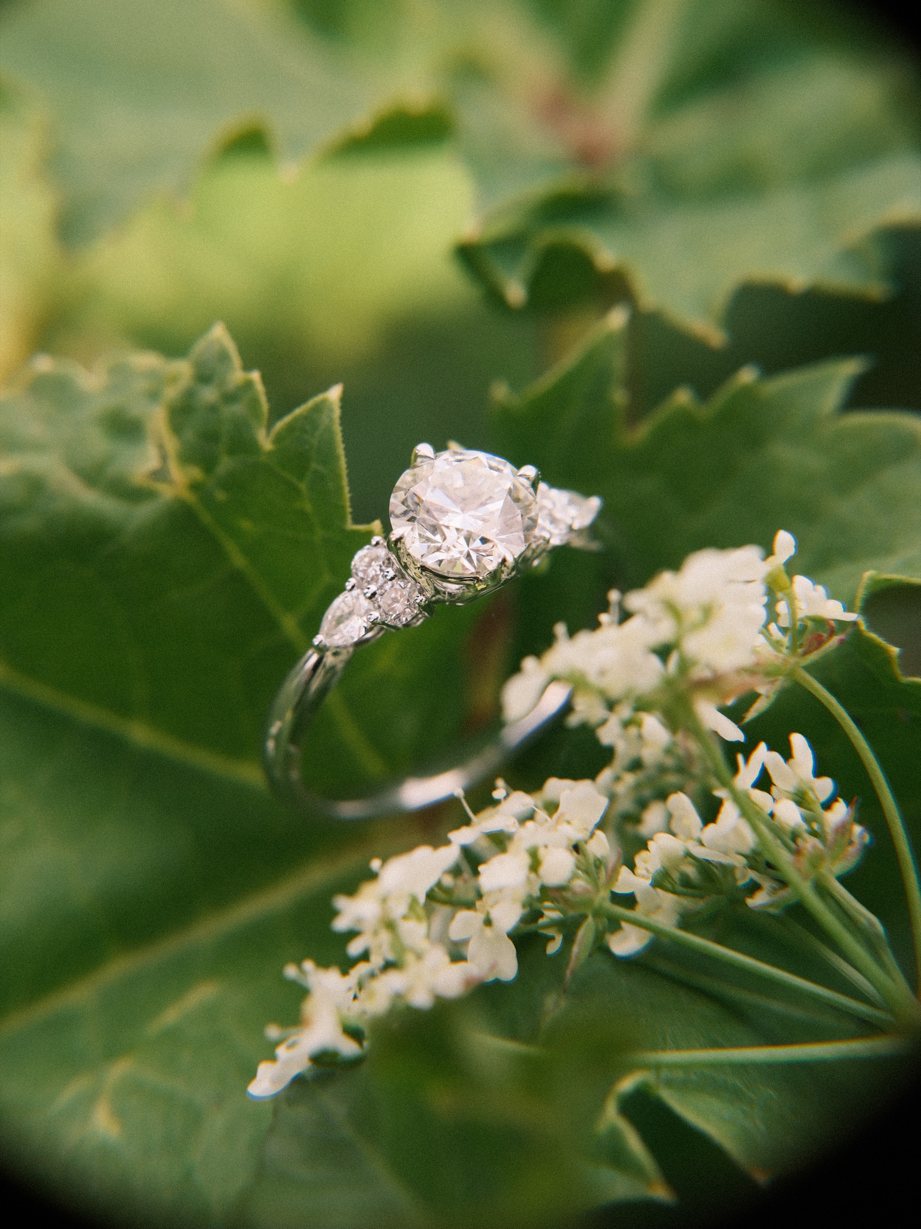 Engagement ring with a round center diamond and smaller side stones resting on a jagged green leaf beside tiny white flowers