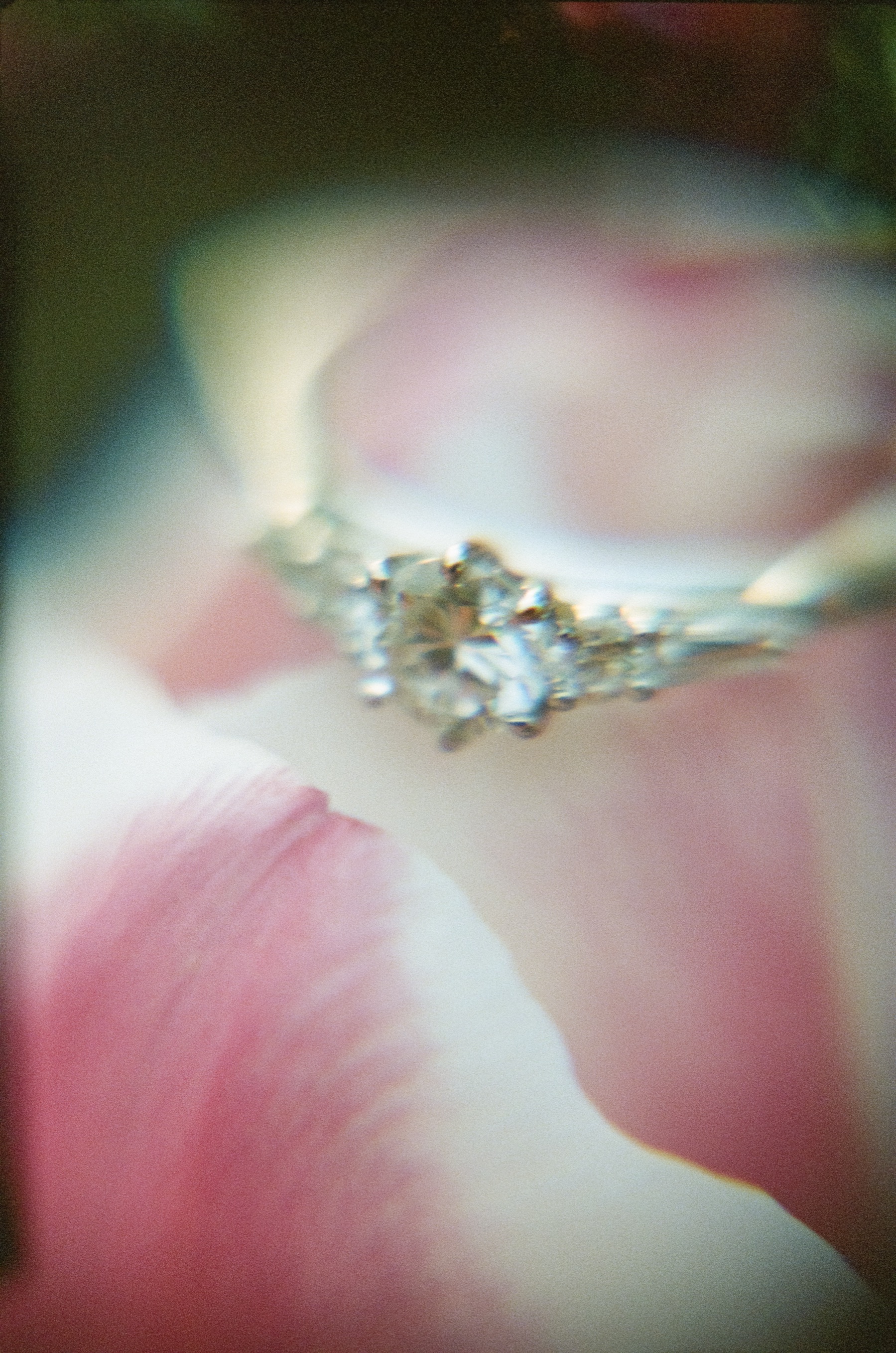Diamond engagement ring resting inside a pink and white tulip, its petals melting into a soft, grainy blur on film