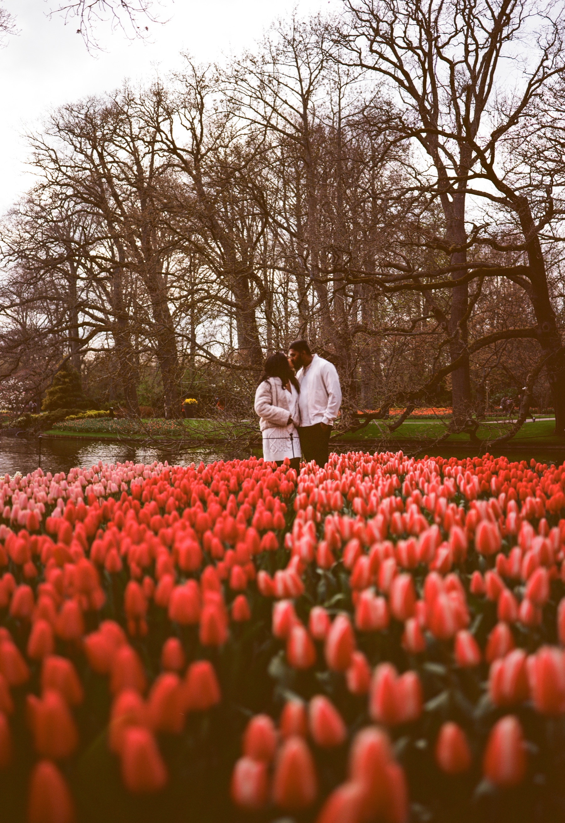 Closer view of the engaged couple embracing by the water, red tulips soft in the foreground and bare branches overhead