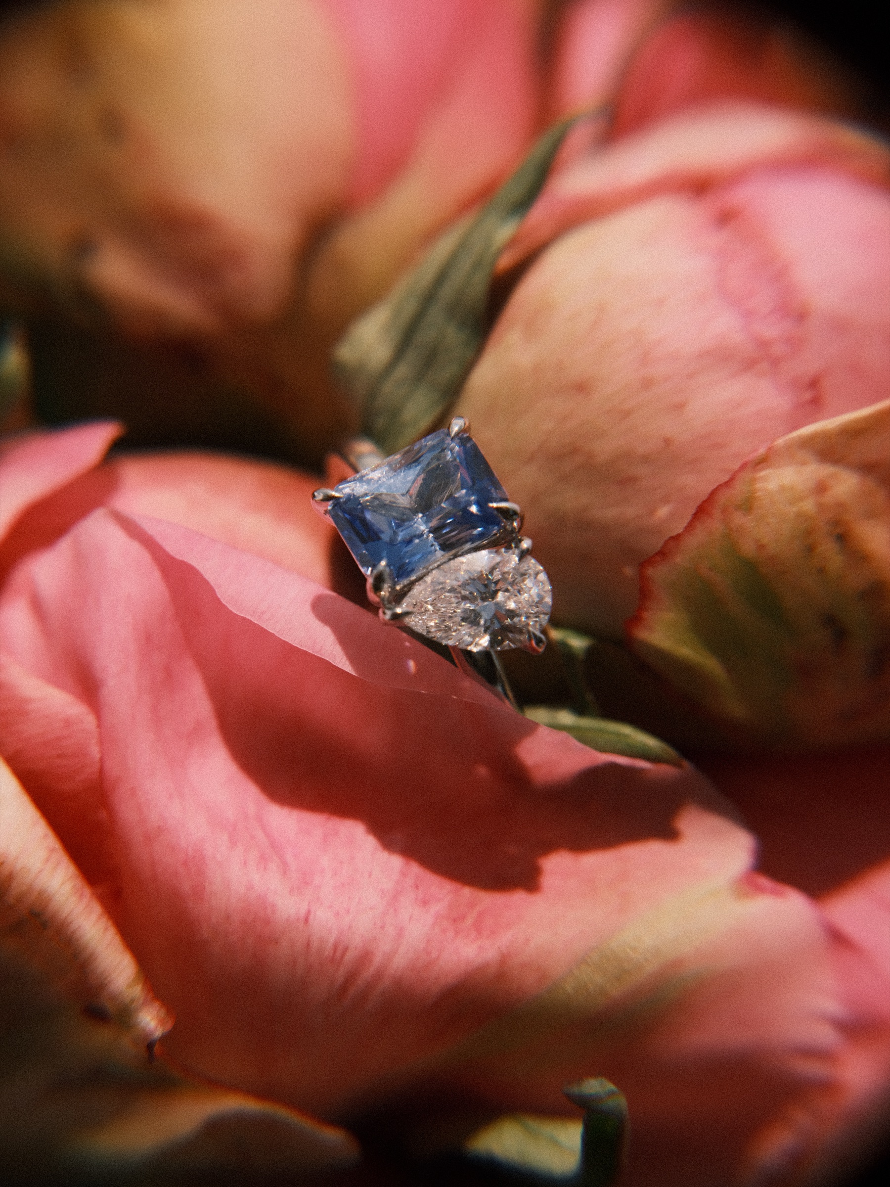 Engagement ring with a square blue stone and a clear pear-shaped stone resting among the petals of pink peonies