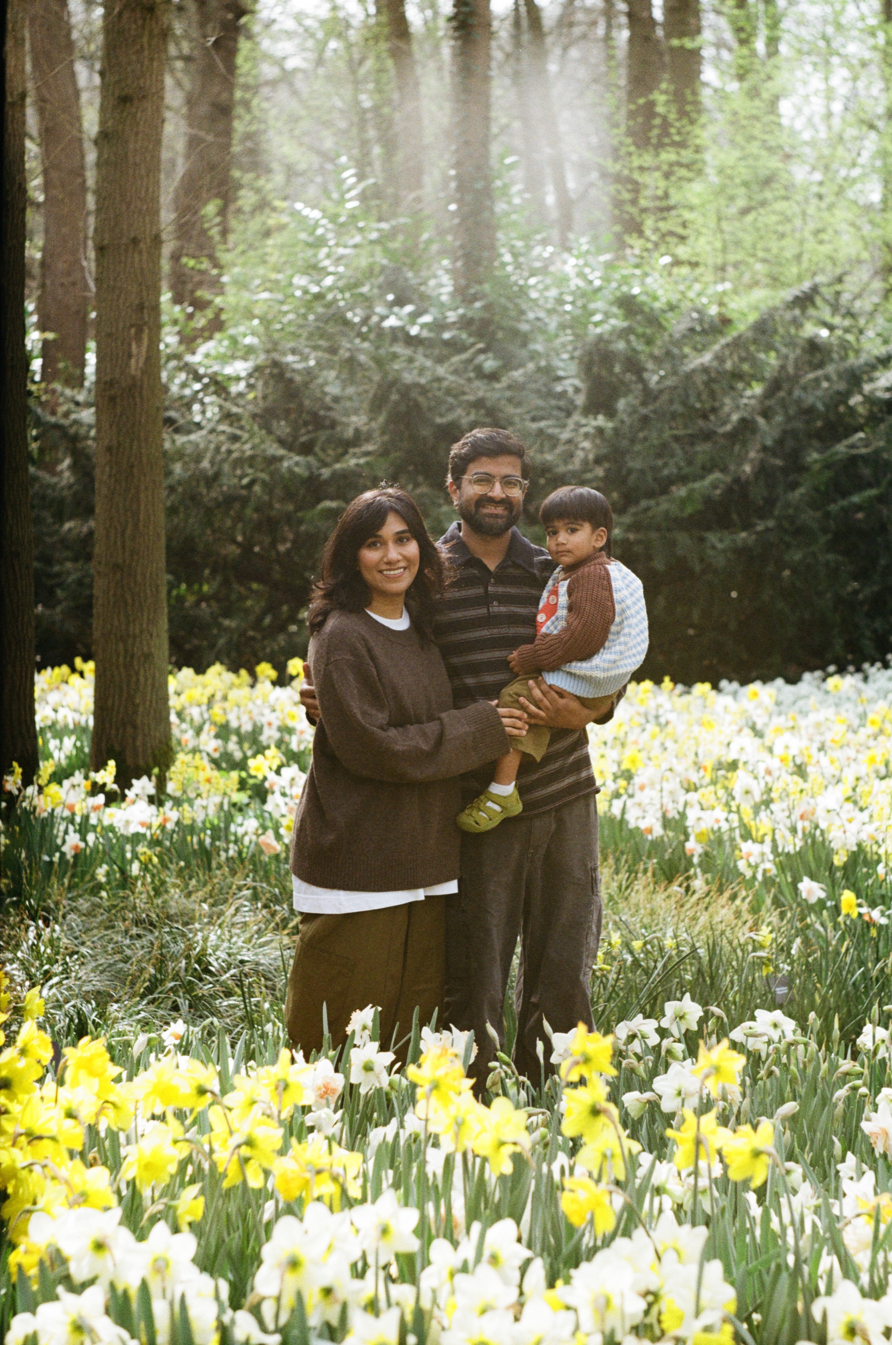 Family of three standing among daffodils as soft rays of light fall between the tree trunks, the father holding the boy