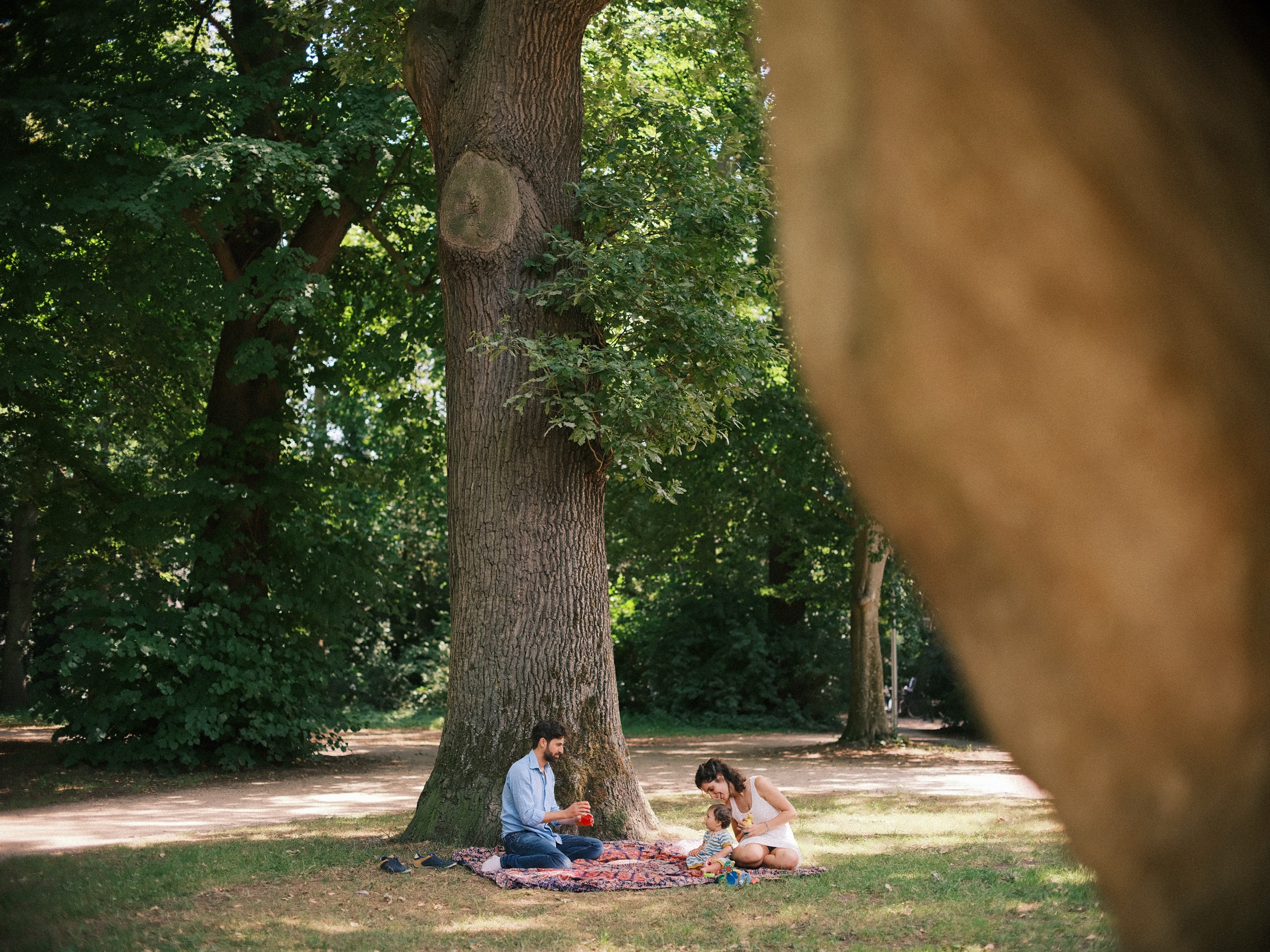 Gezin picknickt op een kleed onder een enorme oude boom in de Haarlemmerhout, met een zandkleurige kei wazig op de voorgrond