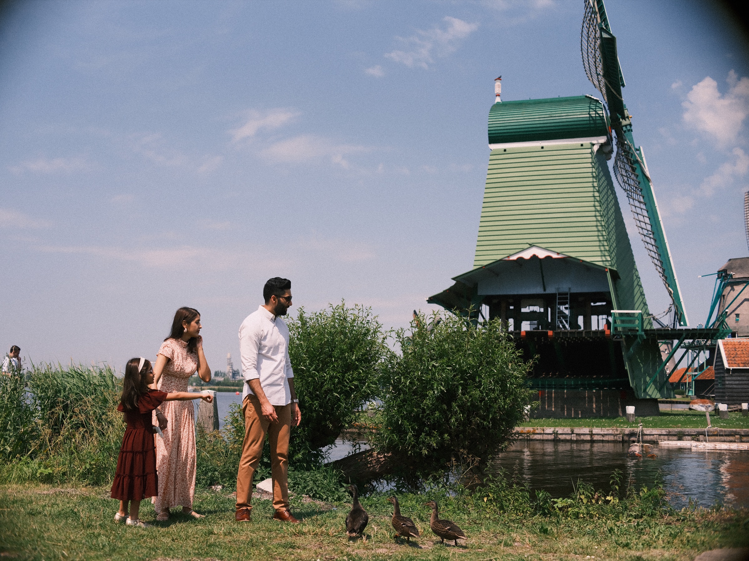Mother, father and daughter walking toward a group of brown ducks on the grass beside the big green windmill, water and bushes nearby