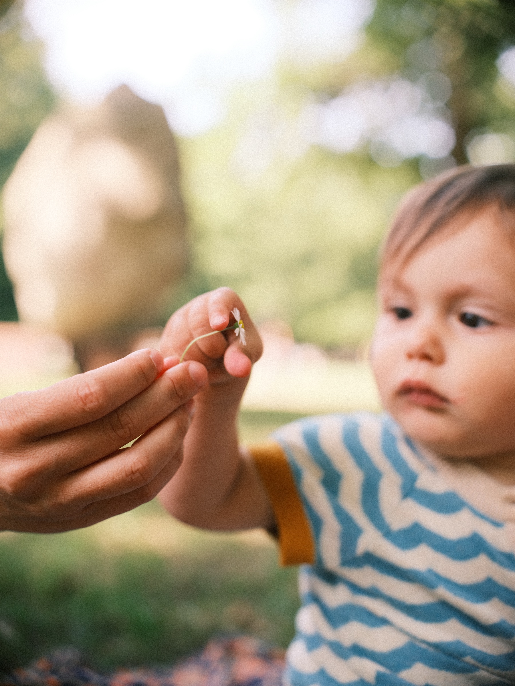 Een hand reikt een madeliefje aan en de baby kijkt er aandachtig naar, met de zomerse bomen van het park zacht erachter