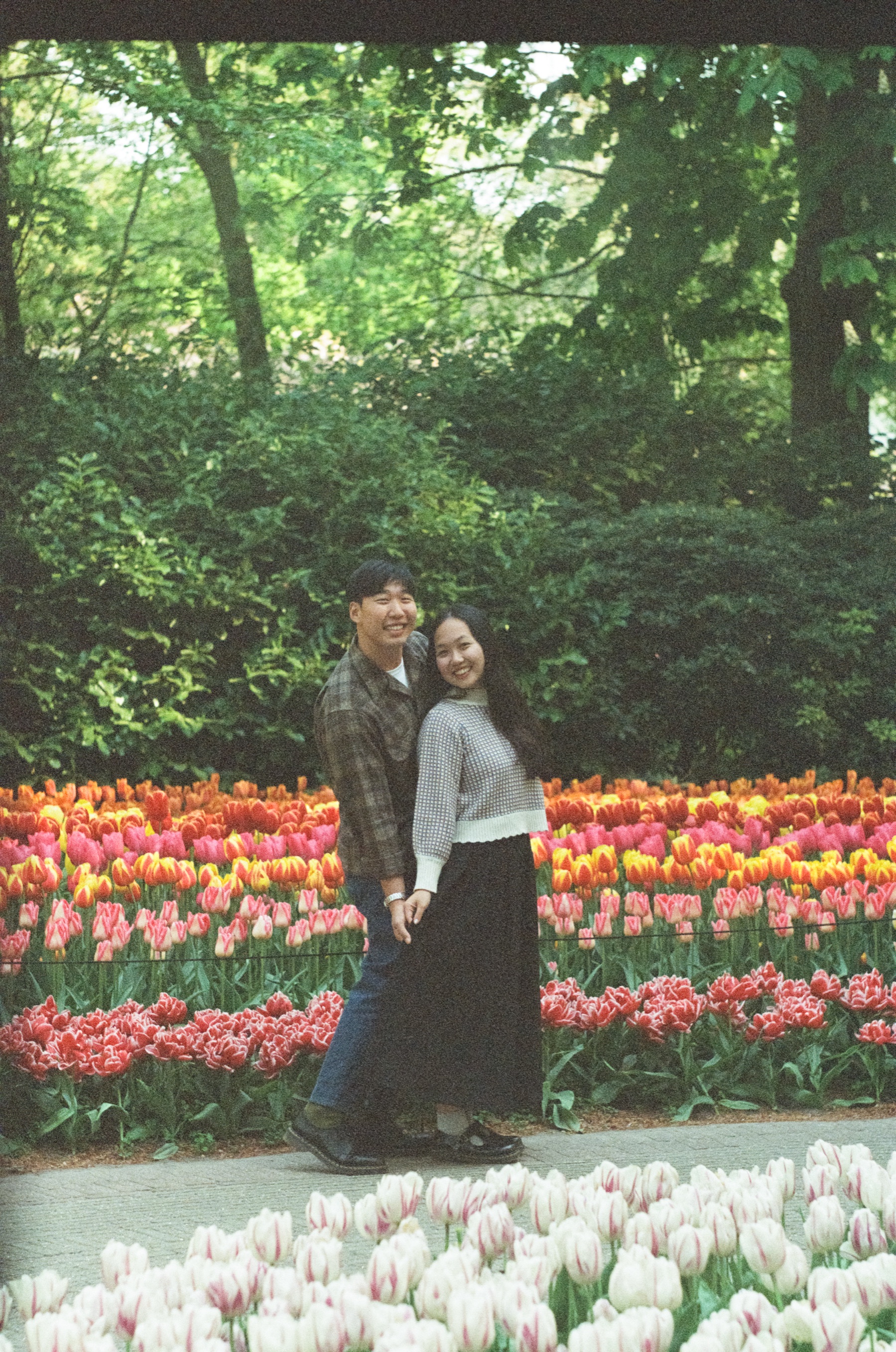 Just engaged, the couple stands close and smiles among rows of red tulips at Keukenhof, white tulips soft in front, on Kodak Portra 800