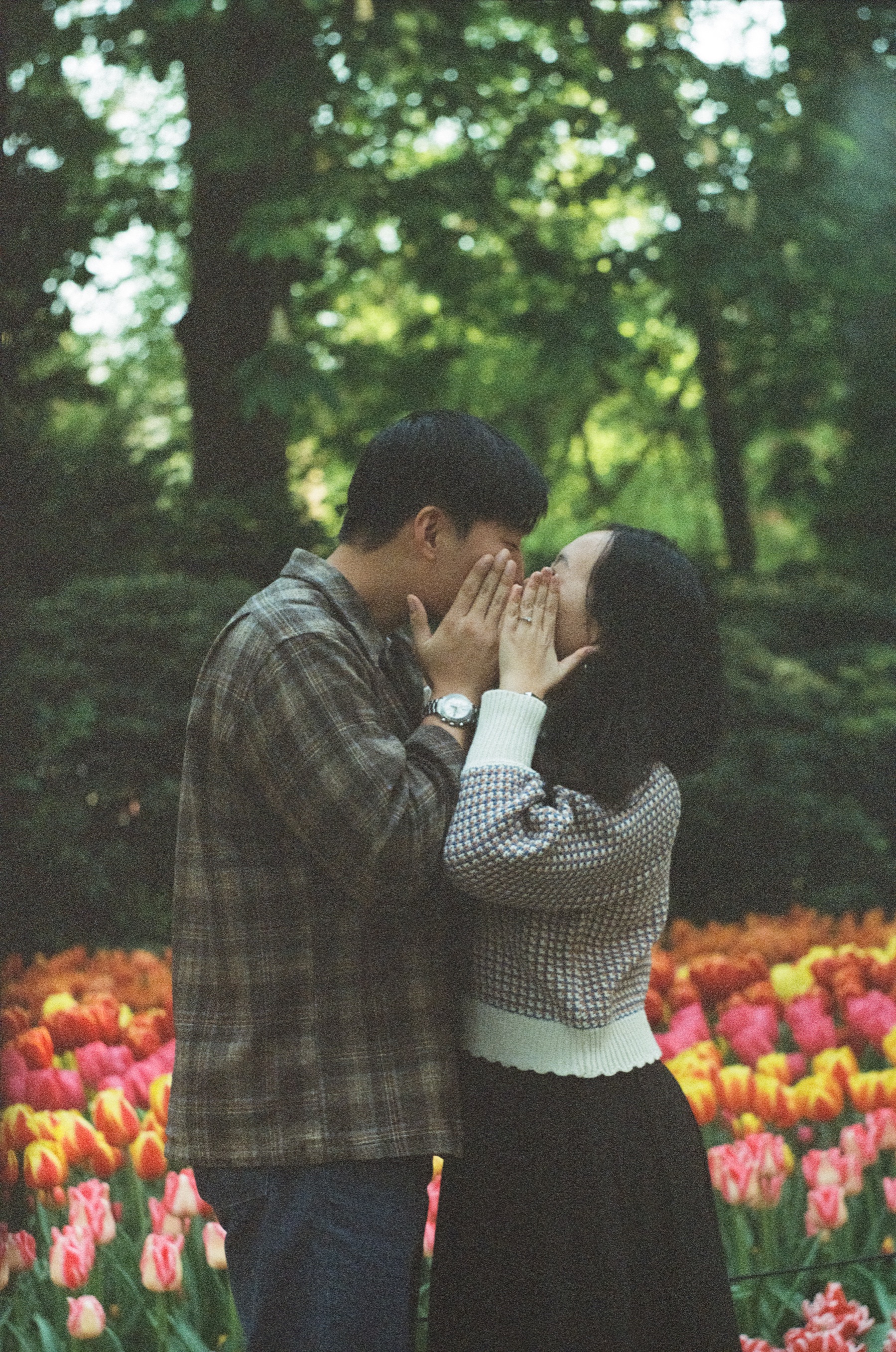 She cups her hands around both their faces as they kiss among red, orange and pink tulips at Keukenhof, after the surprise proposal