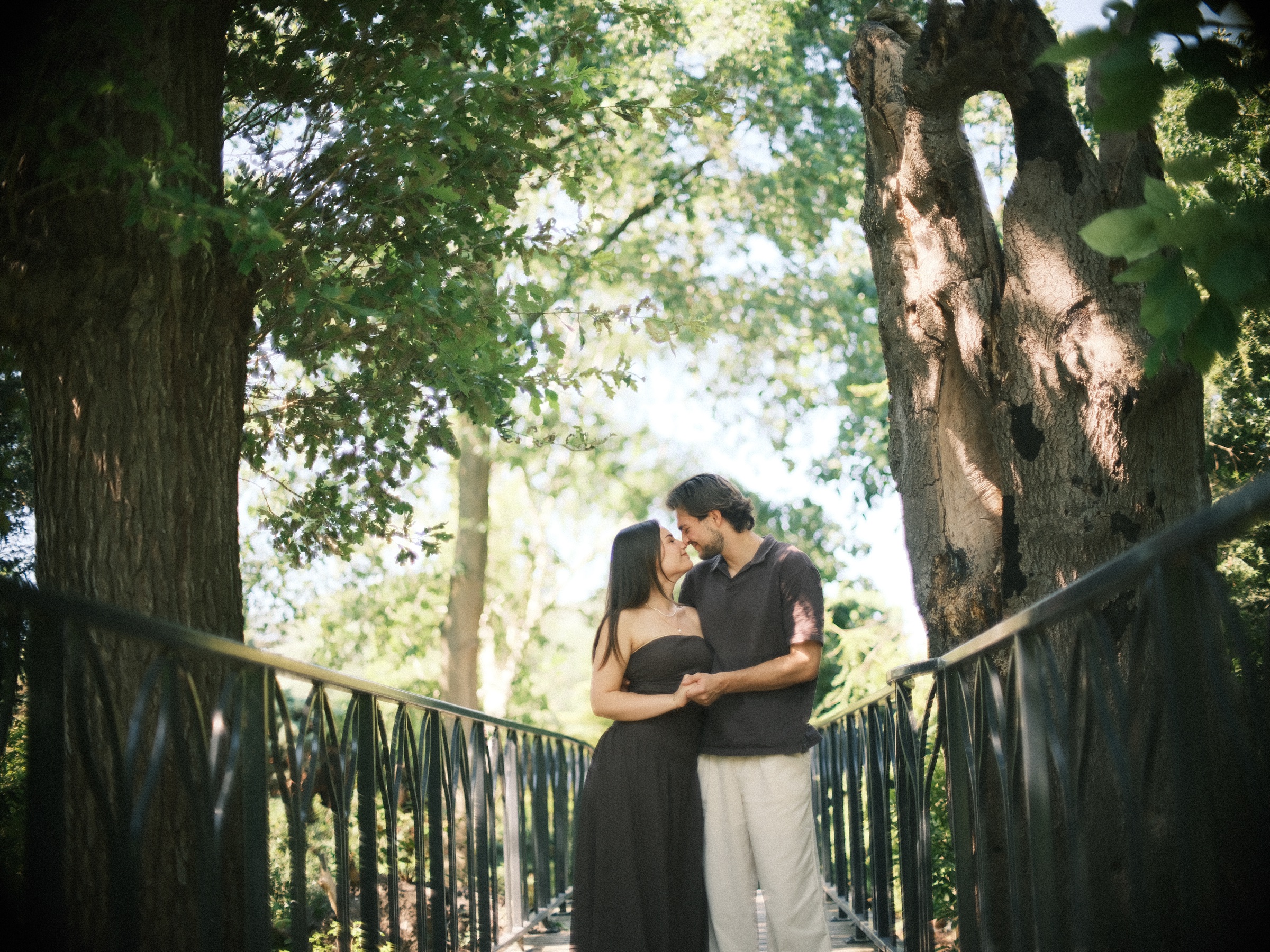 Couple kissing on a dark iron footbridge under tall trees in the Trompenburg gardens, half an hour before the surprise proposal