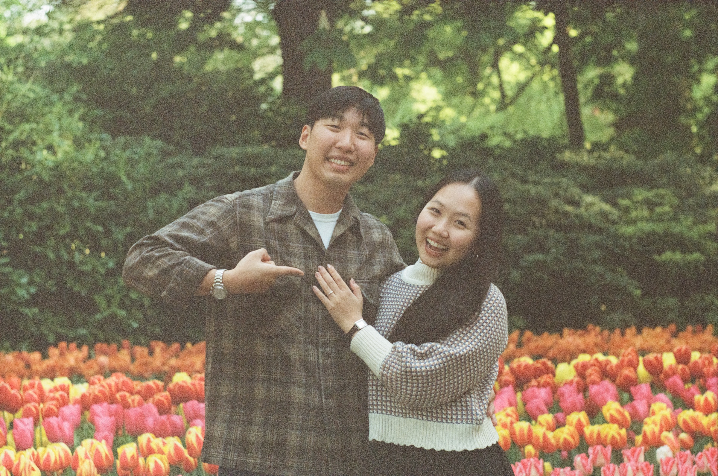 Laughing couple at Keukenhof as he points at her ring hand, bright red, orange and pink tulips in front of a dark green hedge, on Portra 800
