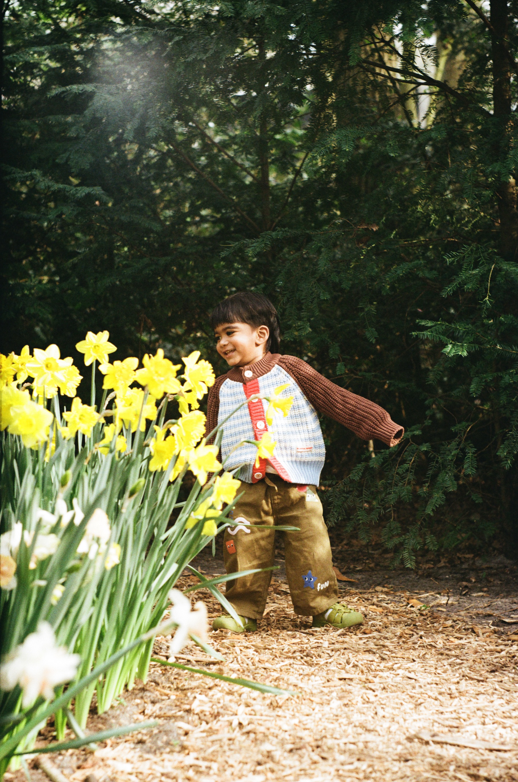 Little boy laughing with his arms flung wide beside tall yellow daffodils on a woodland path covered in bark