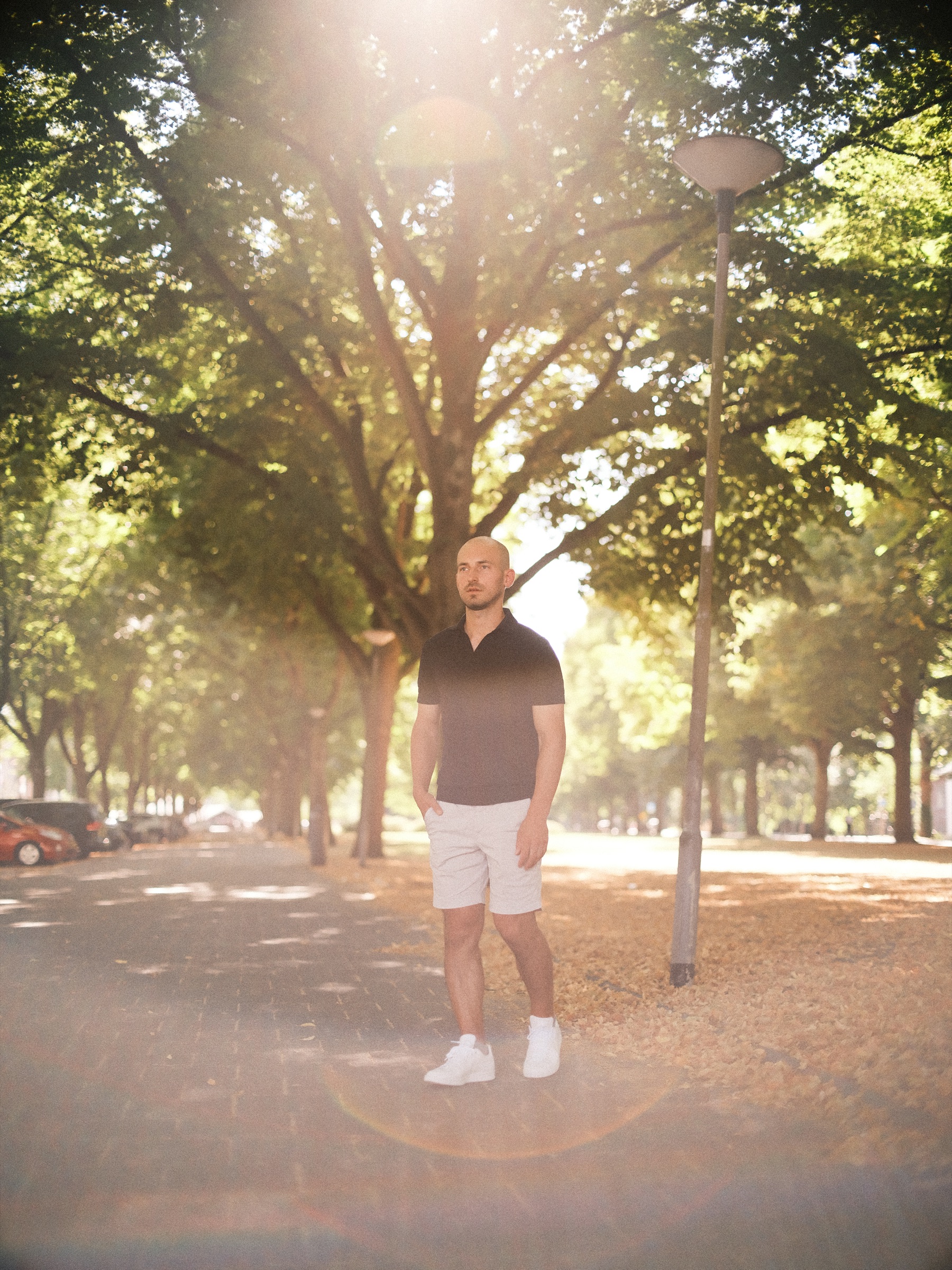 Ten voeten uit in een lange laan met bomen, terwijl de lage avondzon door de bladeren boven hem heen schittert