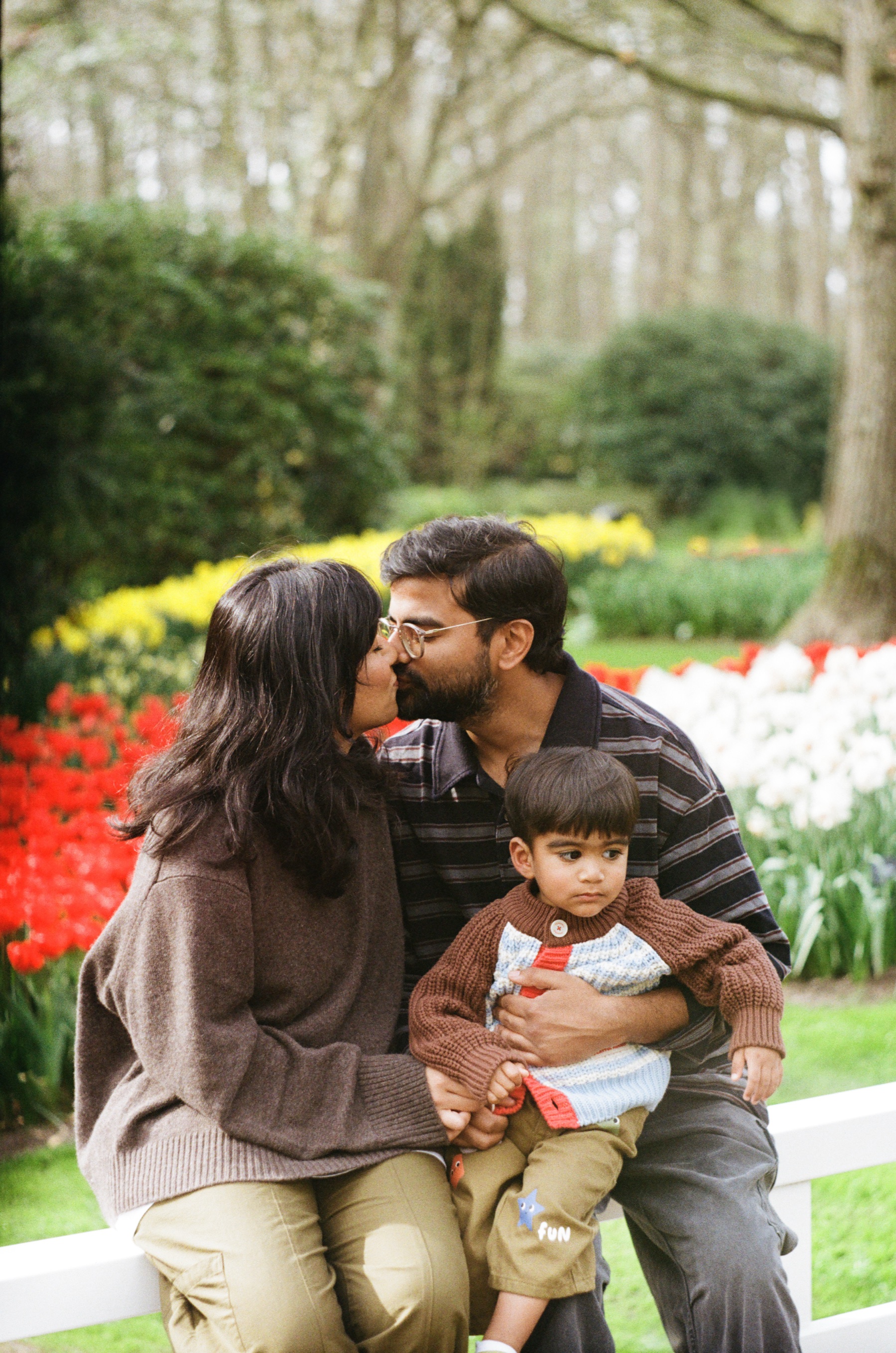 Mother kissing the father’s cheek on a white railing while their toddler on his lap looks straight ahead, tulips behind
