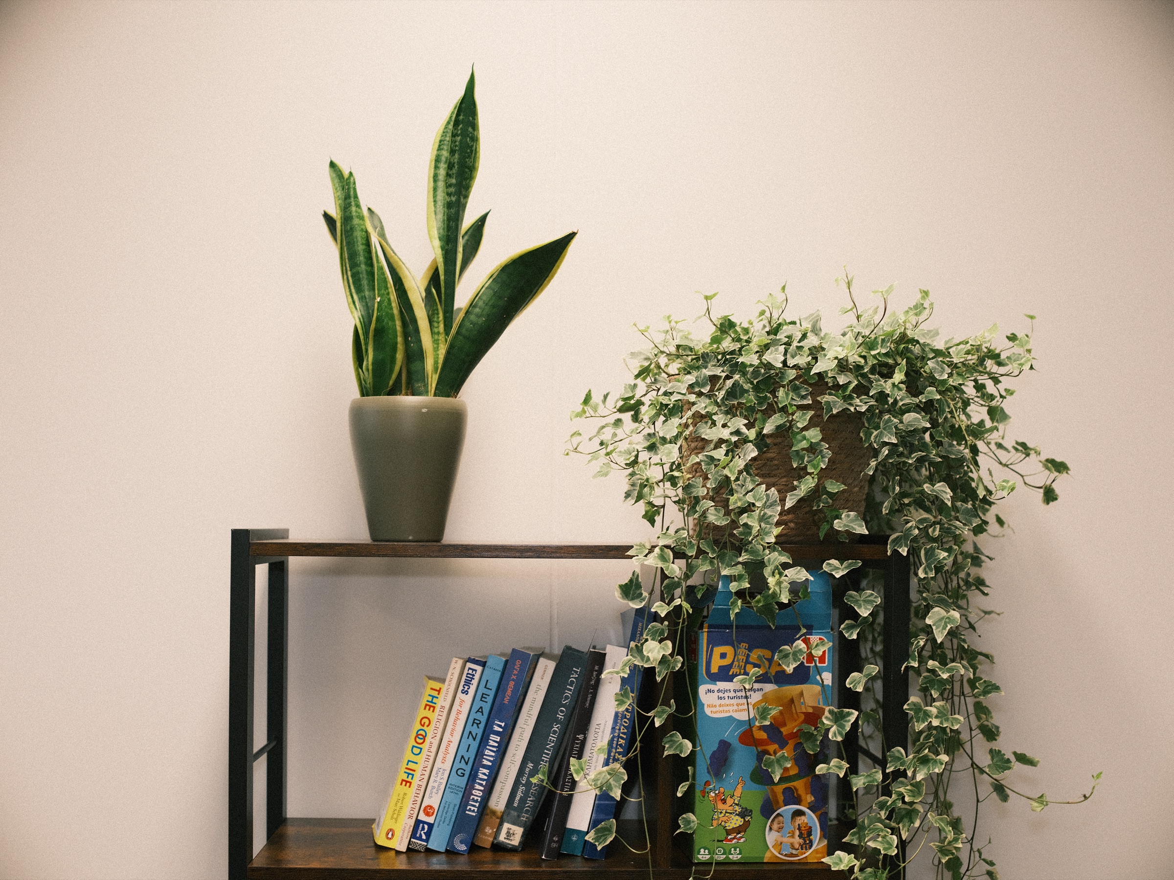 Psychology books and a children's game on a dark shelf, a snake plant and trailing ivy above them in the therapy practice