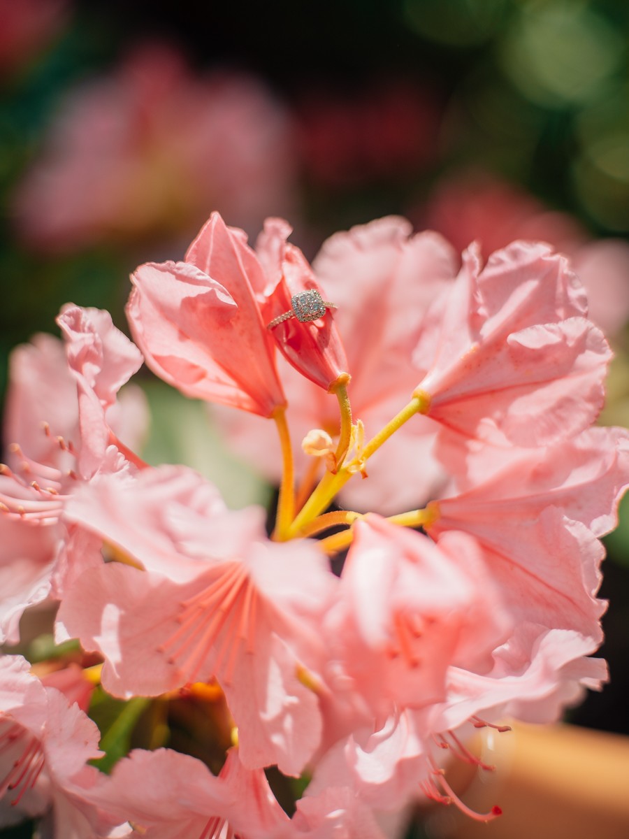Ring met een fonkelende steen rust in de blaadjes van een roze rododendronbloem, met een zachte, wazige achtergrond