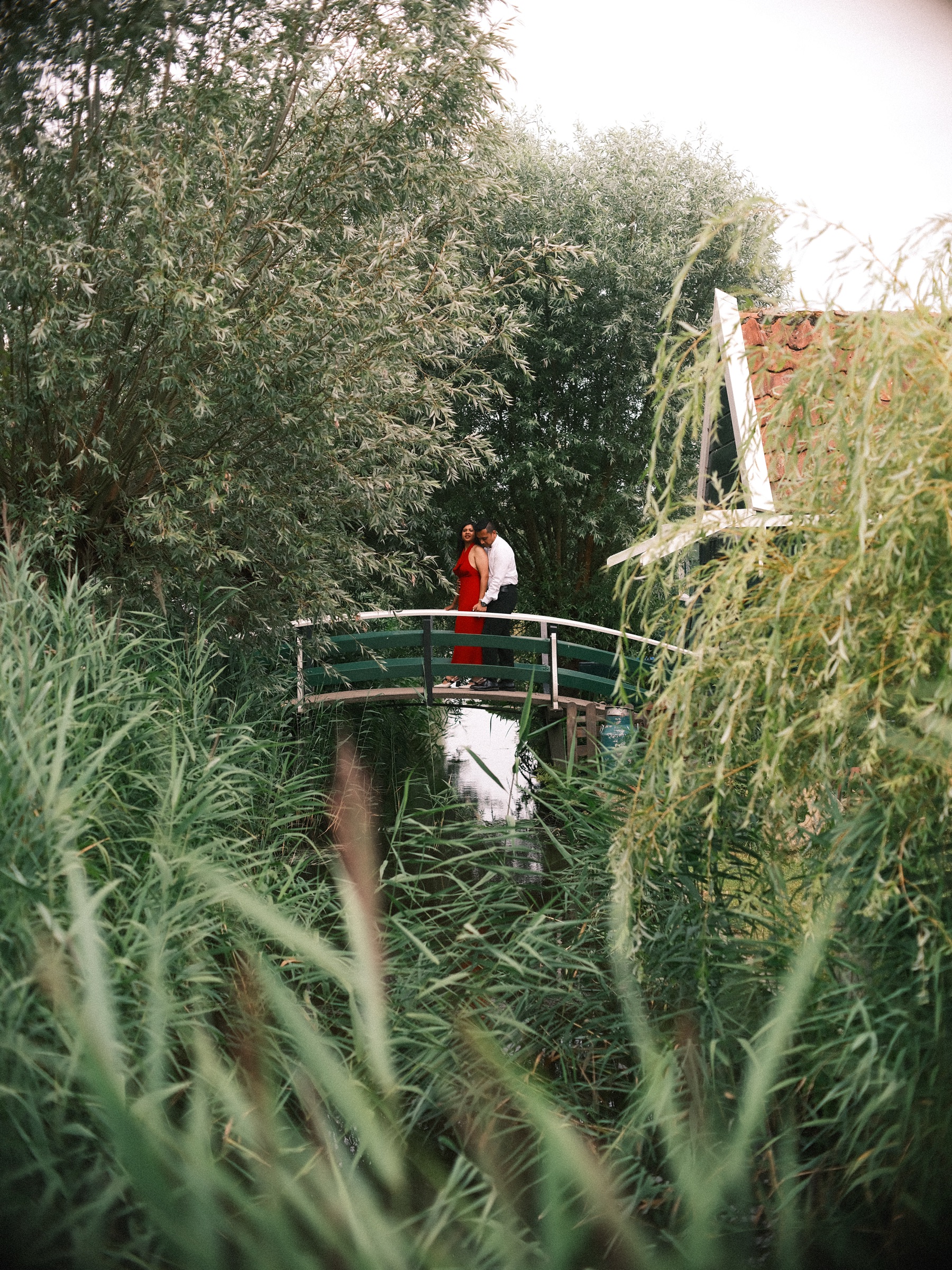 Small green arched bridge seen through tall reeds and willows, a couple in a red dress and a white shirt standing on it