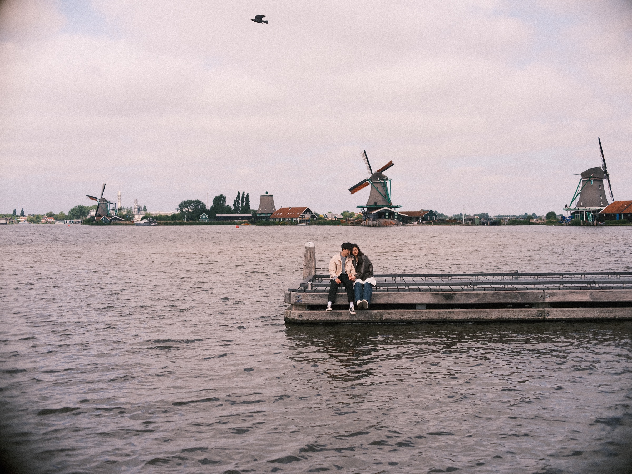Wide view of the couple, small on a wooden jetty in the middle of the Zaan, with the windmills of the Zaanse Schans on the far shore